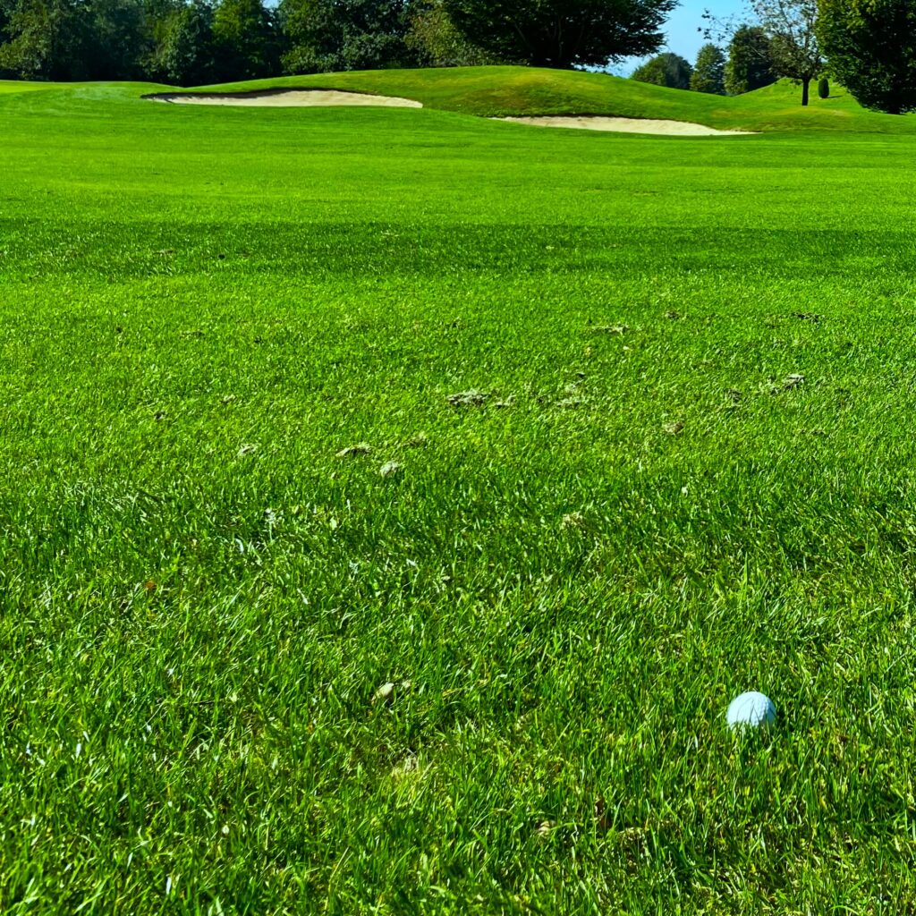 Golfball und Bunker im Hintergrund auf dem Golfplatz Lipperswil im Thurgau.