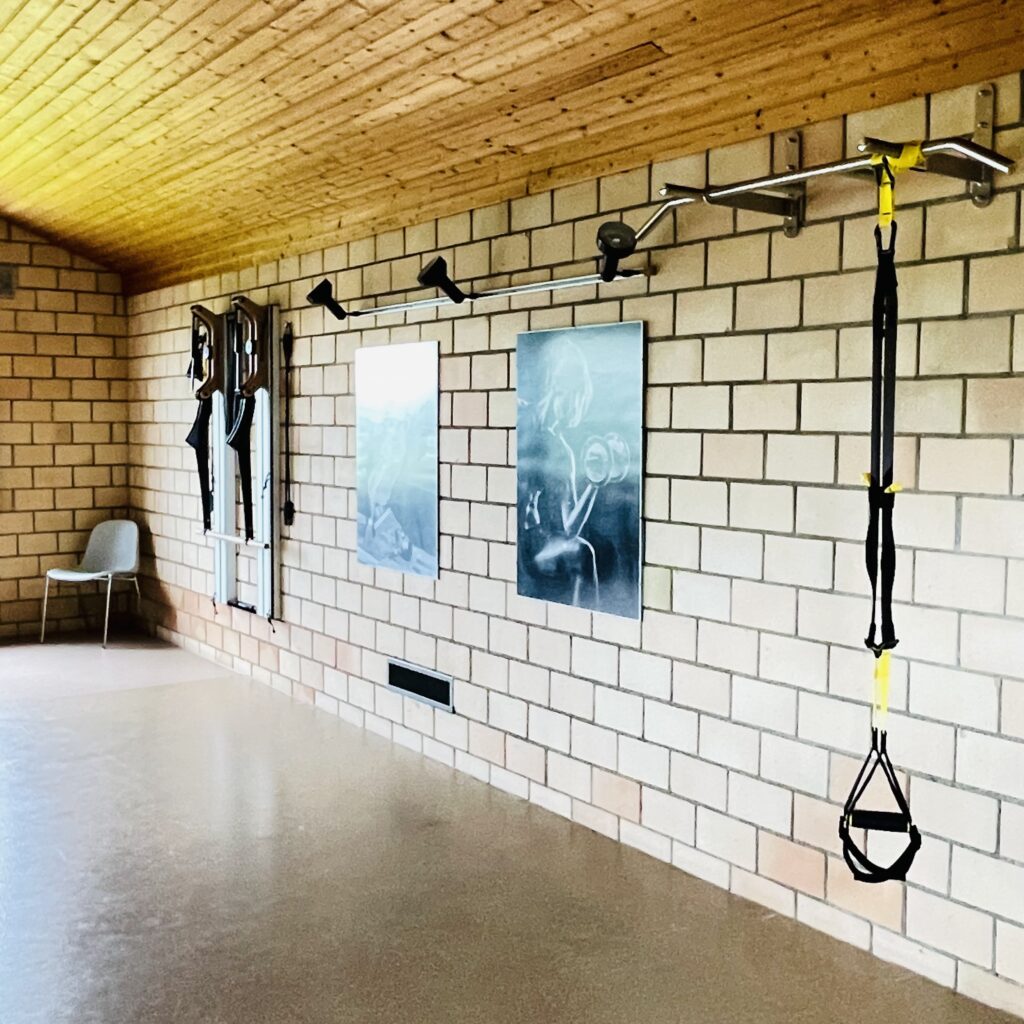Kraftstation Eisenhorn und TRX Schlaufentrainer an der Gerätewand im Gym Studio von Jo Angele in Wigolingen/Thurgau. 
