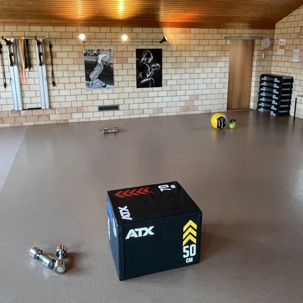 Eisenhorn, Kurzhanteln, Kettle Bell, Steps, Medizinball und Jump Box im Atrium Gym in Wigoltingen